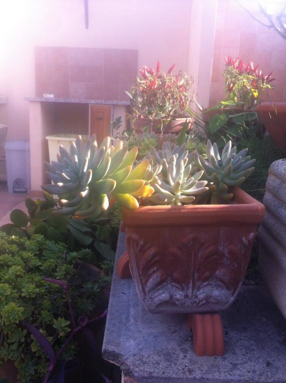 Bed&Breakfast Letterario Fiumicino Exterior foto