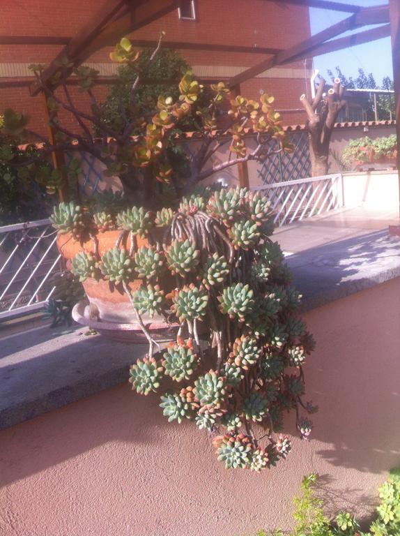 Bed&Breakfast Letterario Fiumicino Exterior foto