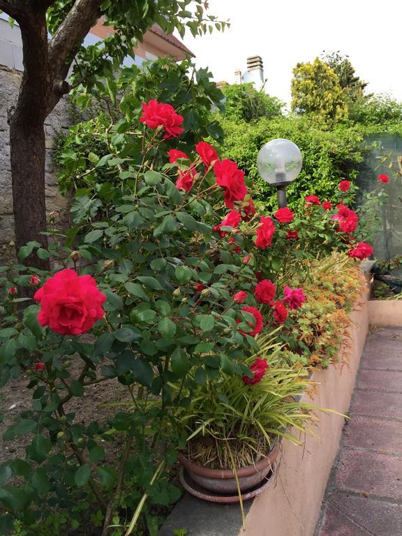 Bed&Breakfast Letterario Fiumicino Exterior foto