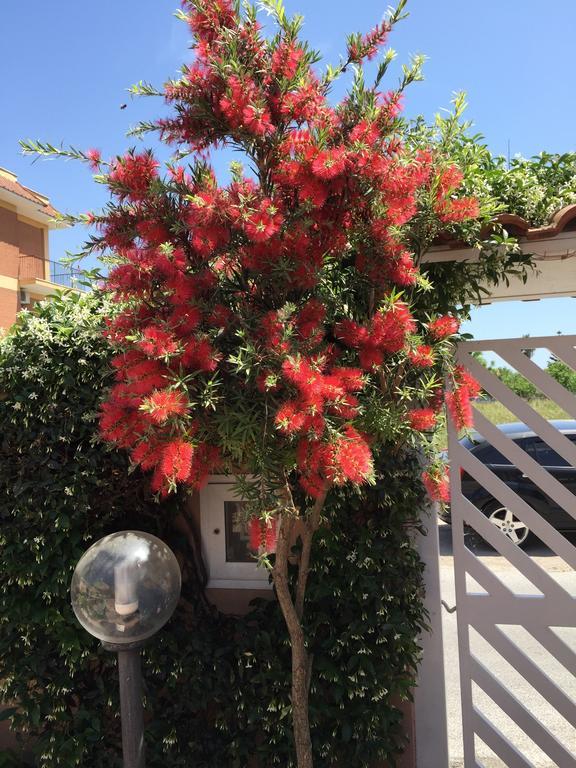 Bed&Breakfast Letterario Fiumicino Exterior foto