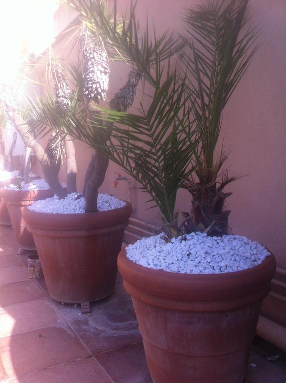 Bed&Breakfast Letterario Fiumicino Exterior foto